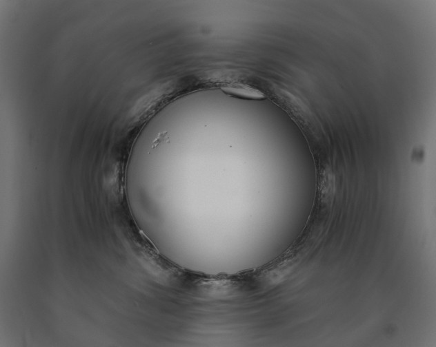 X0000090740428200708031550