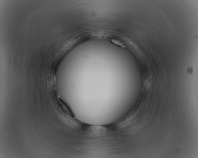 X0000090740429200708031550