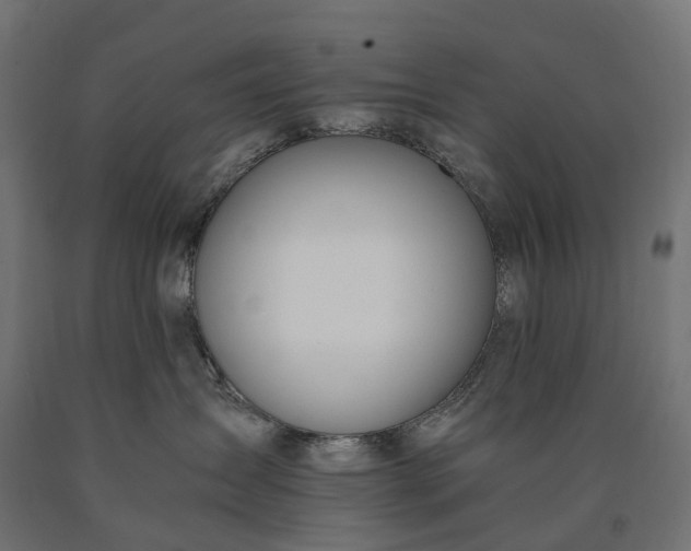 X0000090740431200708031550