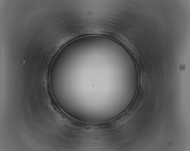 X0000090740434200708031549