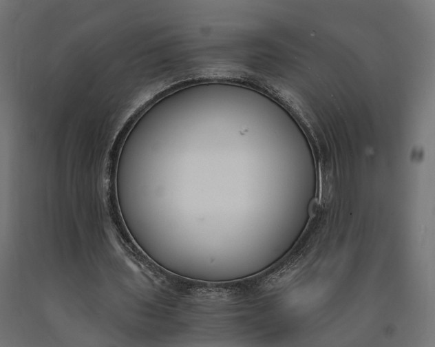 X0000090740435200708031549