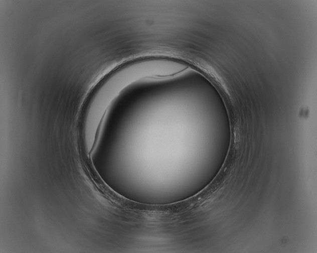 X0000090740436200708031549