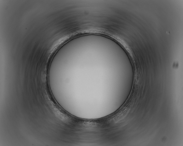 X0000090740437200708031549