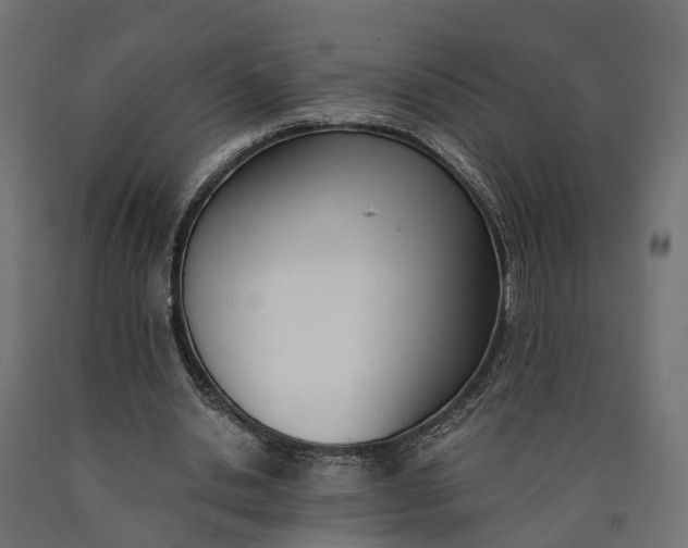 X0000090740438200708031549