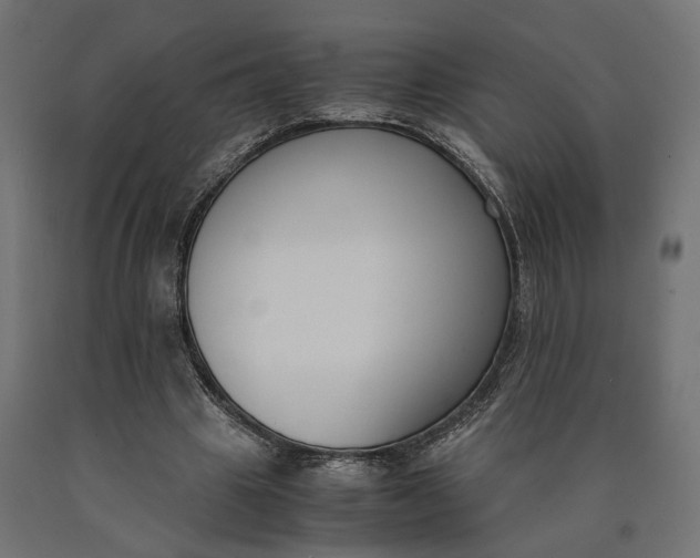 X0000090740441200708031549