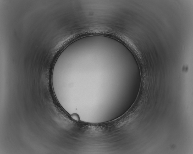 X0000090740442200708031549