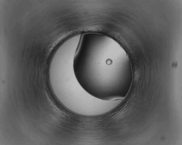 X0000090740444200708031549