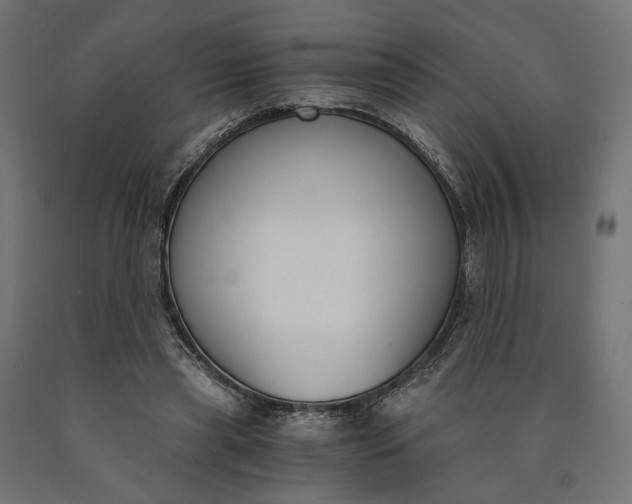 X0000090740445200708031549