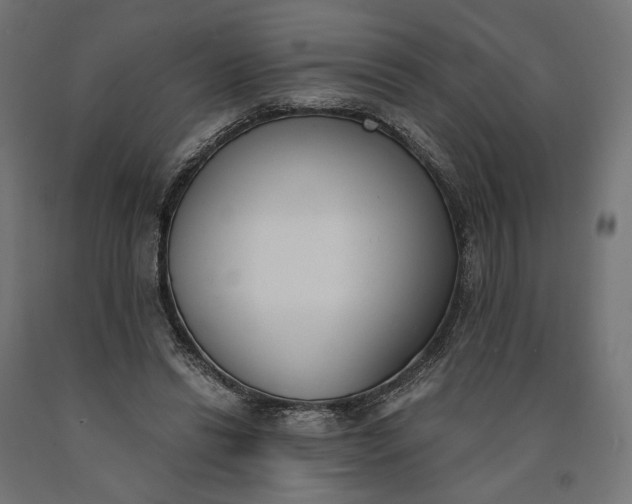 X0000090740446200708031549