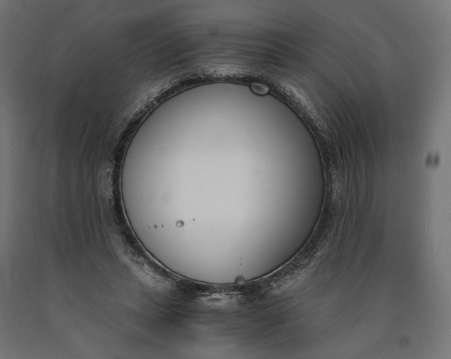 X0000090740447200708031549