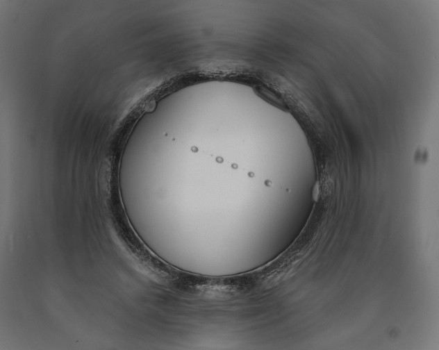 X0000090740448200708031549