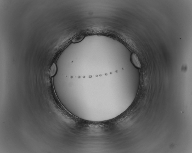 X0000090740450200708031549