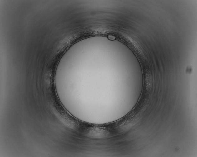 X0000090740451200708031549