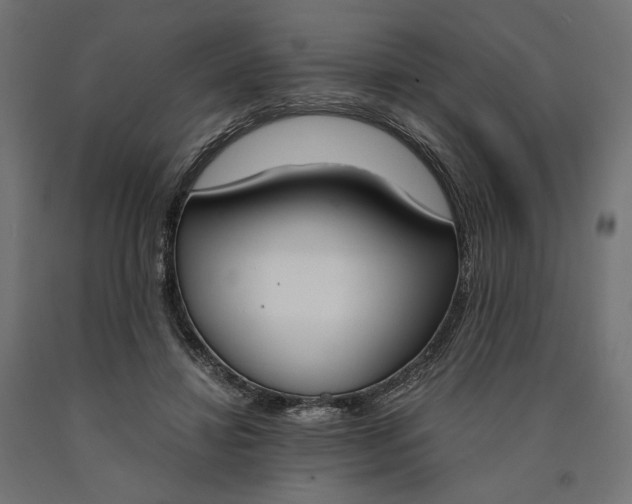 X0000090740452200708031549