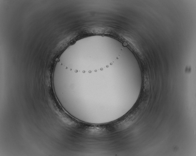 X0000090740453200708031549