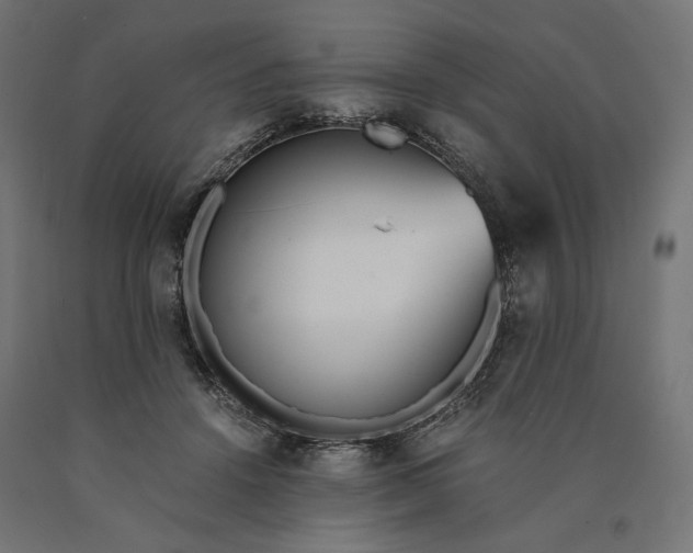 X0000090740456200708031549