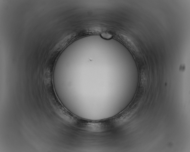 X0000090740457200708031549