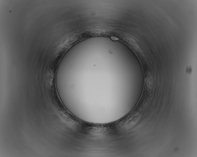 X0000090740458200708031549