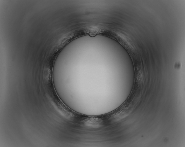 X0000090740459200708031549