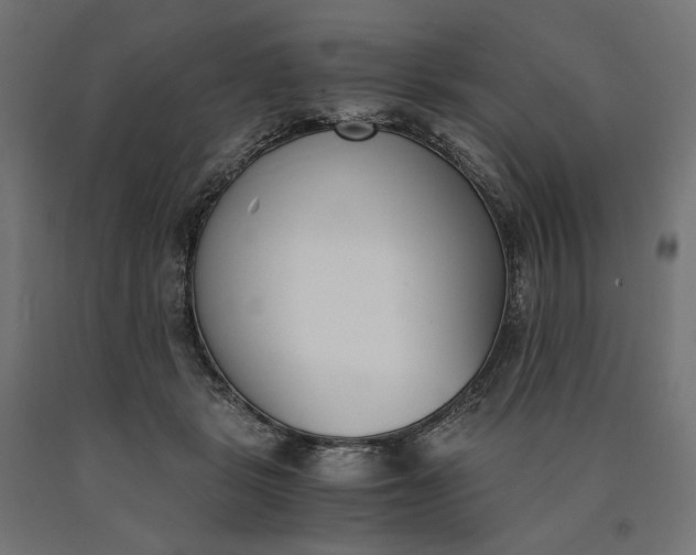 X0000090740461200708031549