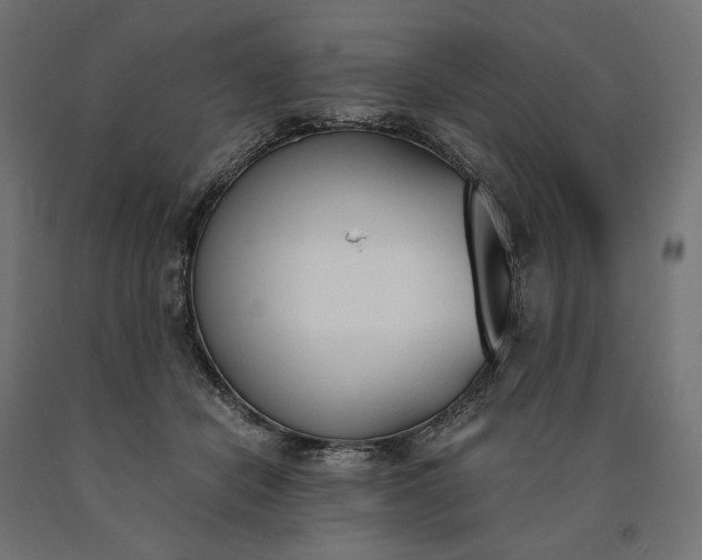 X0000090740462200708031549