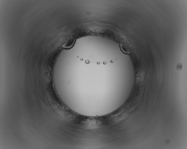 X0000090740464200708031549