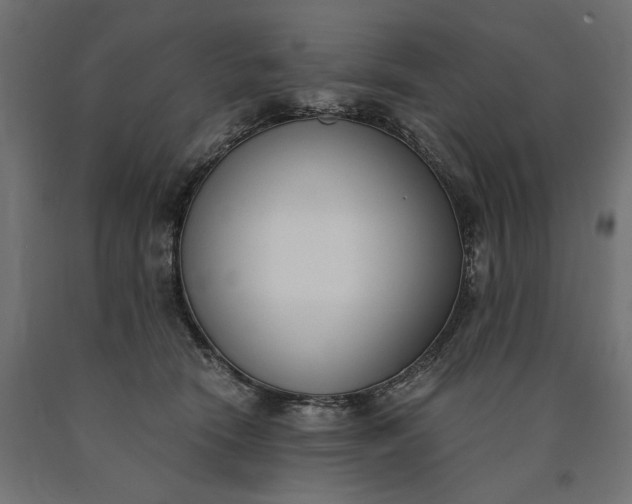 X0000090740466200708031549