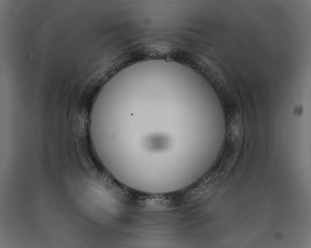 X0000090740468200708031549