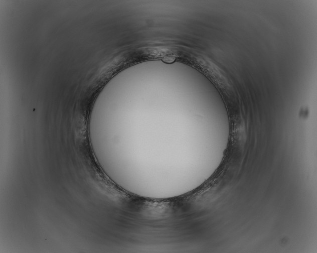 X0000090740469200708031549