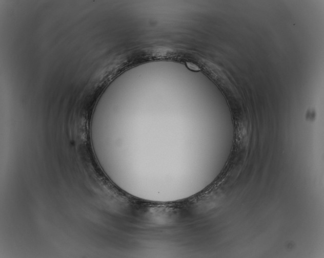 X0000090740470200708031549