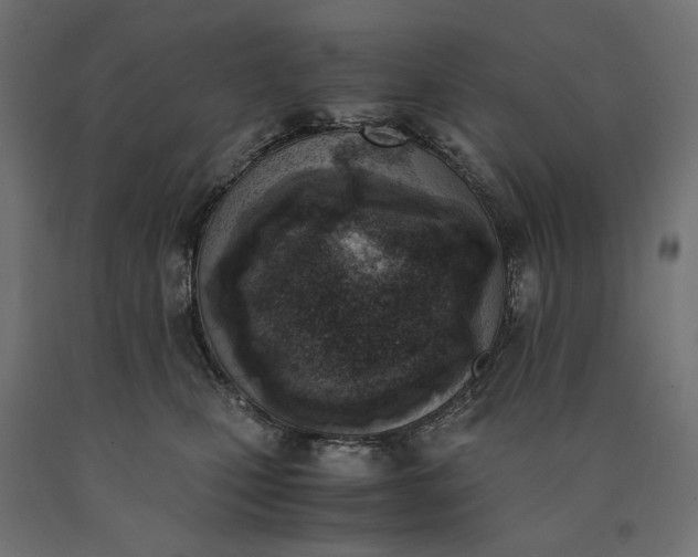 X0000090740471200708031549