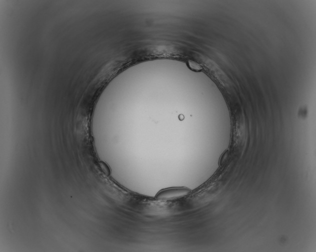 X0000090740473200708031549