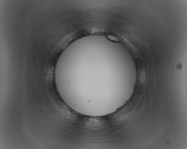 X0000090740475200708031549