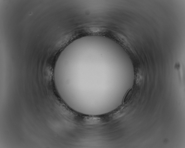 X0000090740476200708031549