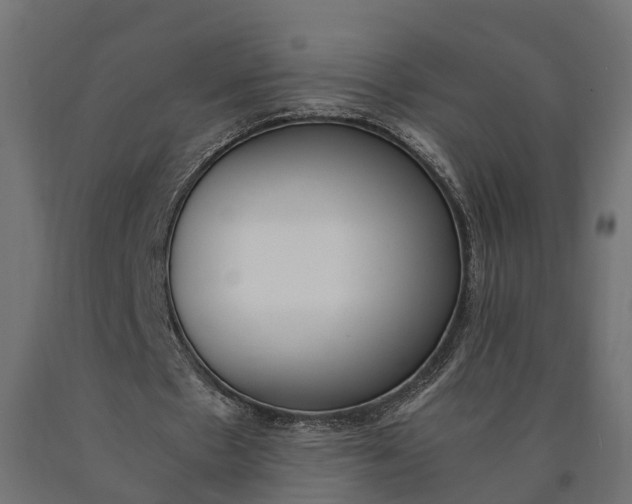 X0000090740481200708031549