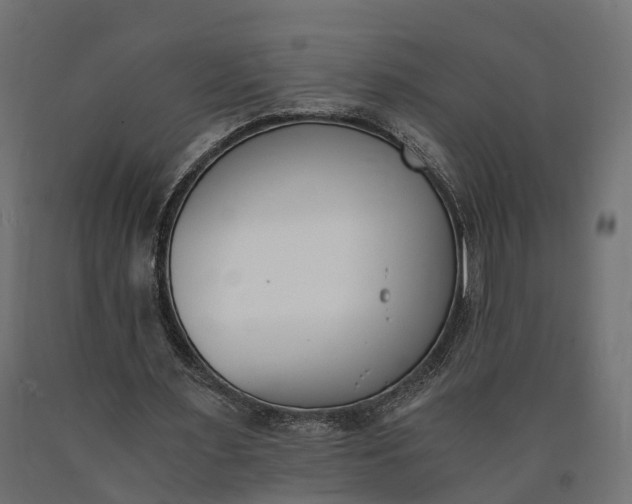 X0000090740483200708031549