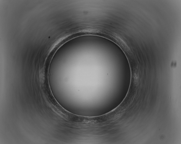 X0000090740484200708031549