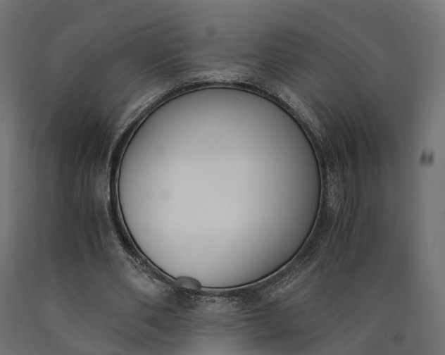 X0000090740486200708031549