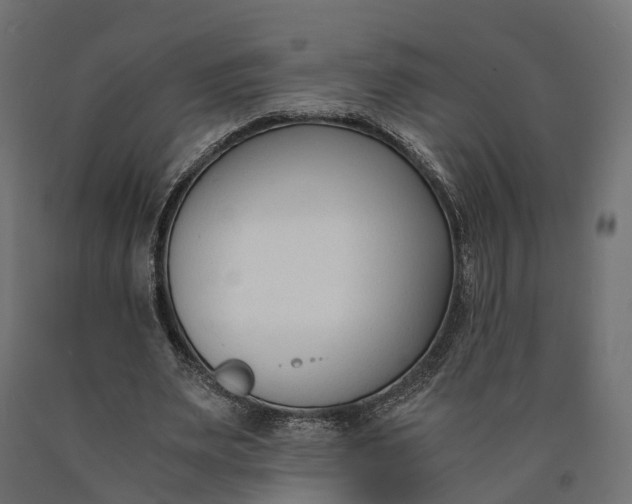 X0000090740487200708031549