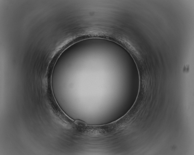 X0000090740488200708031549