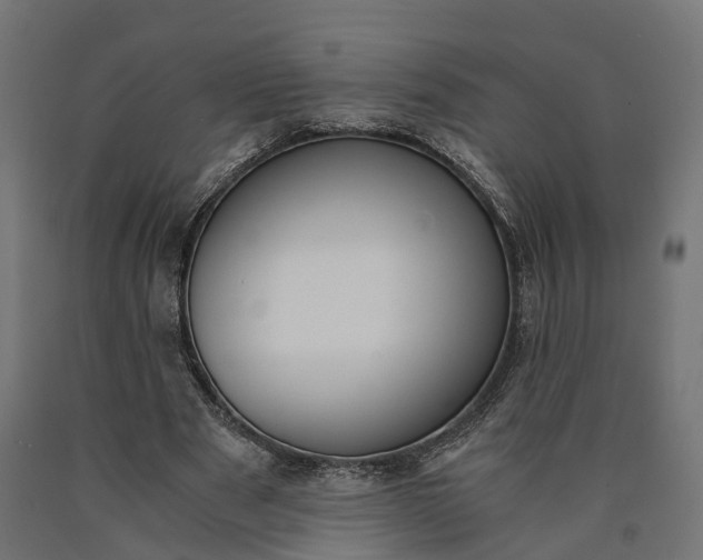 X0000090740489200708031549