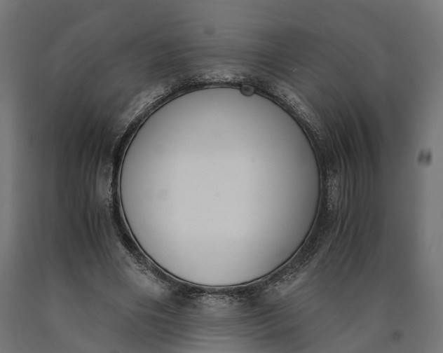 X0000090740490200708031549