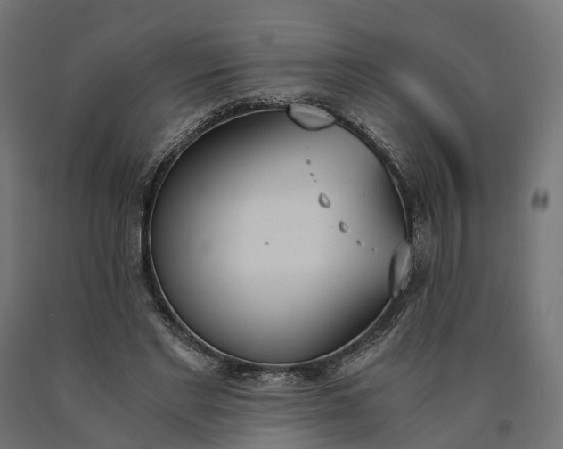 X0000090740493200708031549