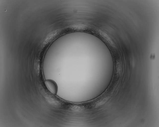 X0000090740494200708031549