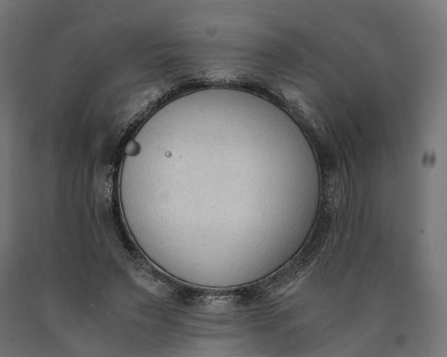 X0000090740495200708031549