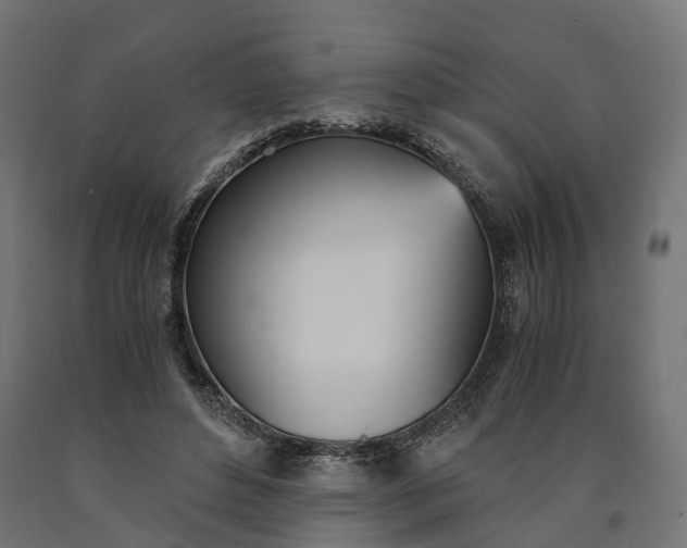 X0000090740496200708031549