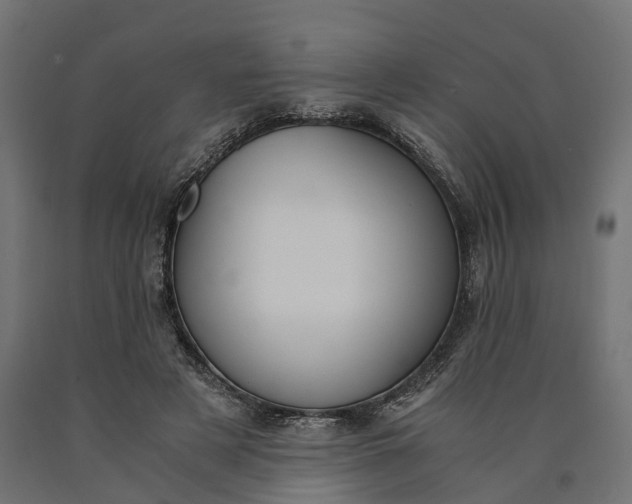 X0000090740497200708031549