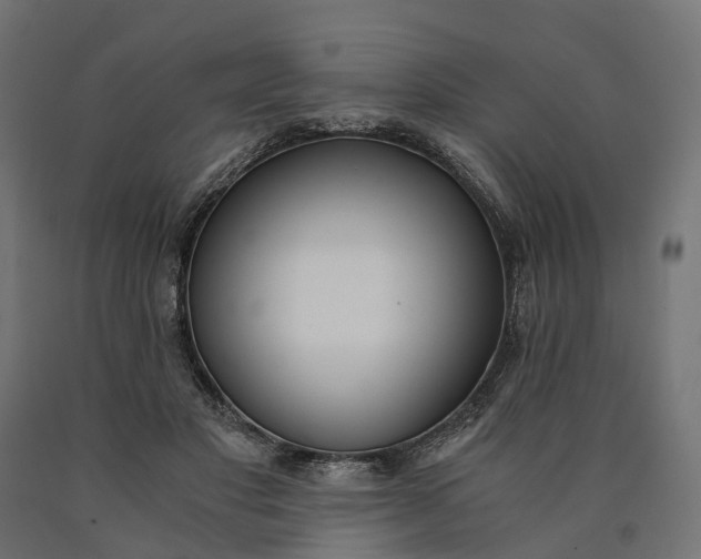 X0000090740501200708031548