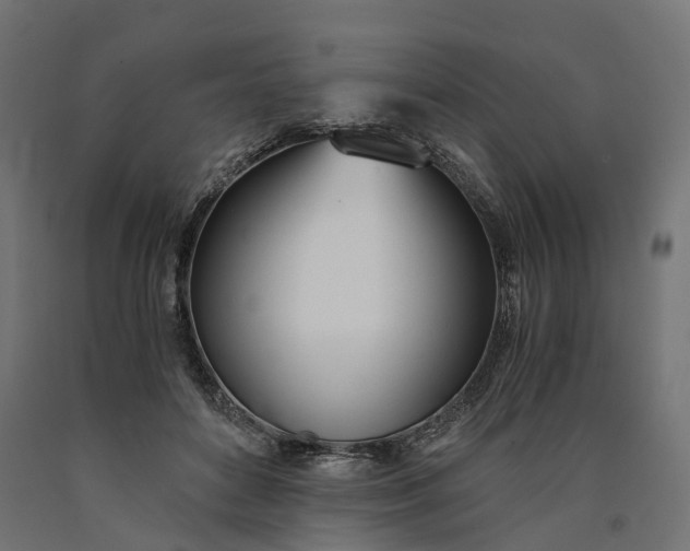 X0000090740504200708031548