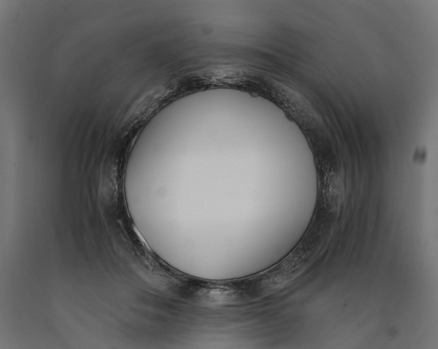 X0000090740506200708031548